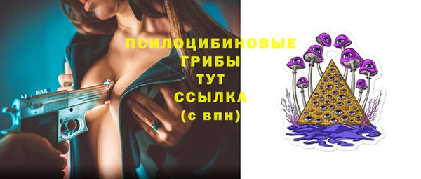 спайс Верея