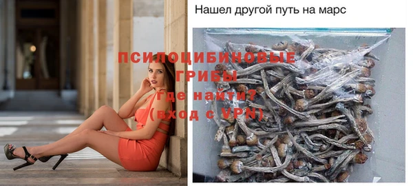 герыч Верхний Тагил