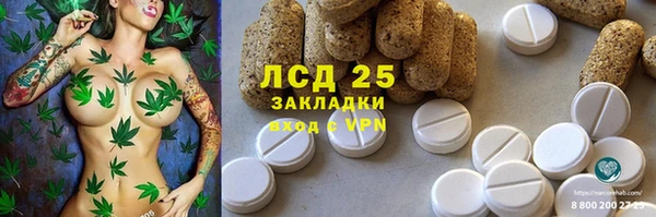 спайс Верея